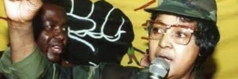SboshAloni's profile banner image
