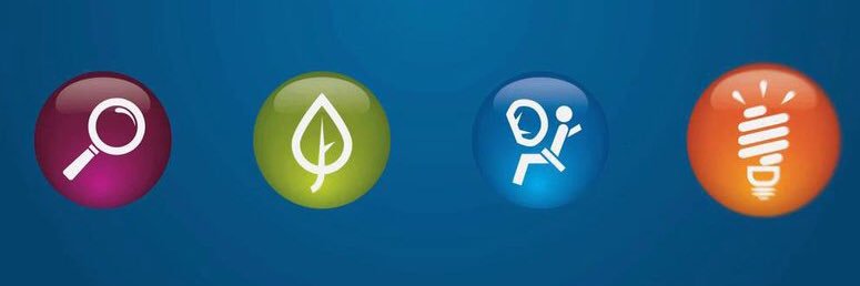 Bob Holycross banner