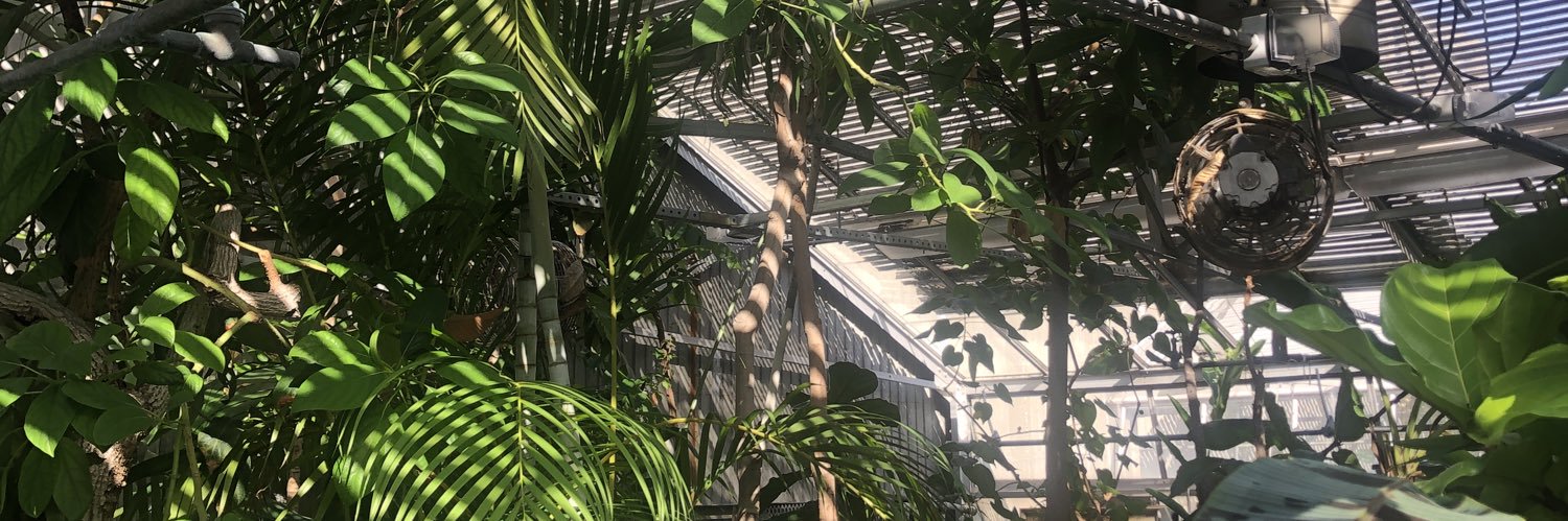ehhhhhhhmily's profile banner image
