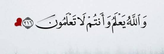 Ebtehalhamdy5's profile banner image