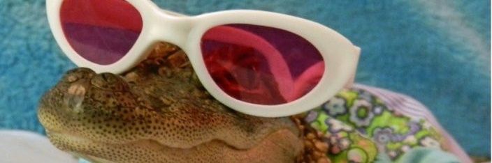 zhllngio_'s profile banner image