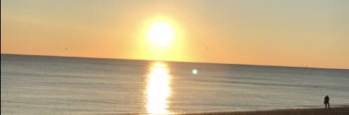 annelilou3's profile banner image