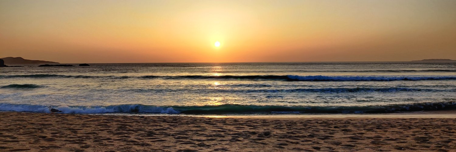 Sergio Regueira banner