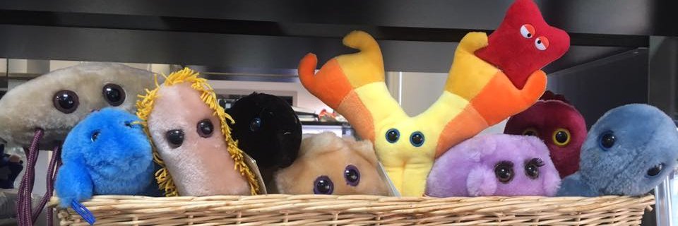 micro_ericka's profile banner image