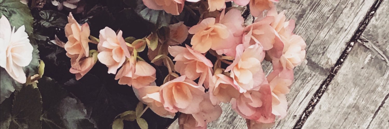 thepattygod's profile banner image