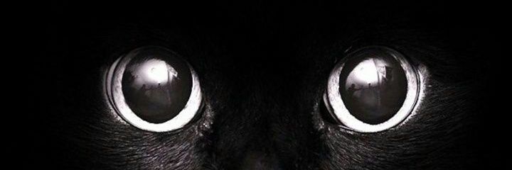 ipfontanari's profile banner image