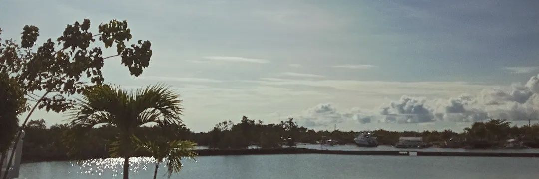 kassedt's profile banner image