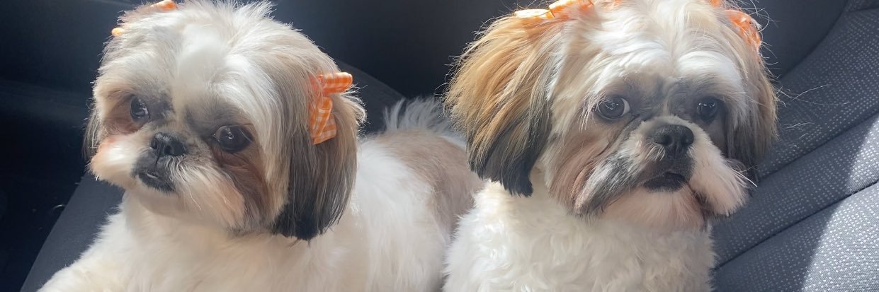 janedoee_'s profile banner image