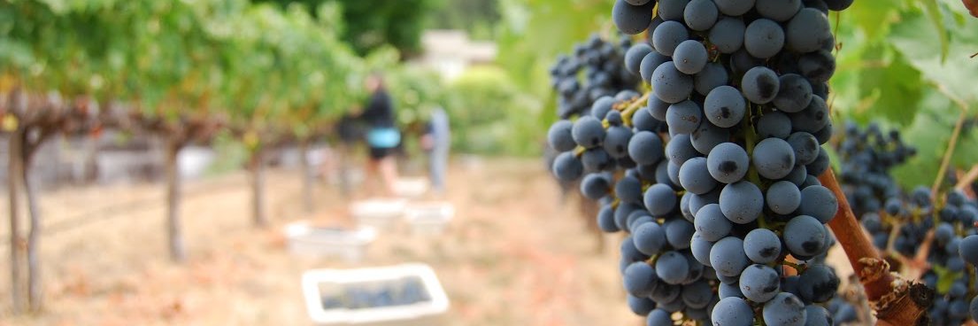 Stacey Fritz-Smith banner