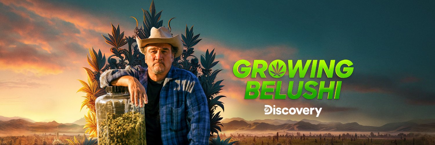 Jim Belushi Profile Banner