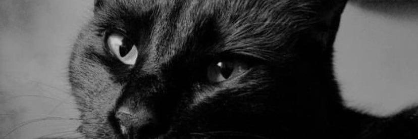 DFranc09's profile banner image