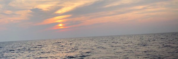 RepLyleLarson Profile Banner