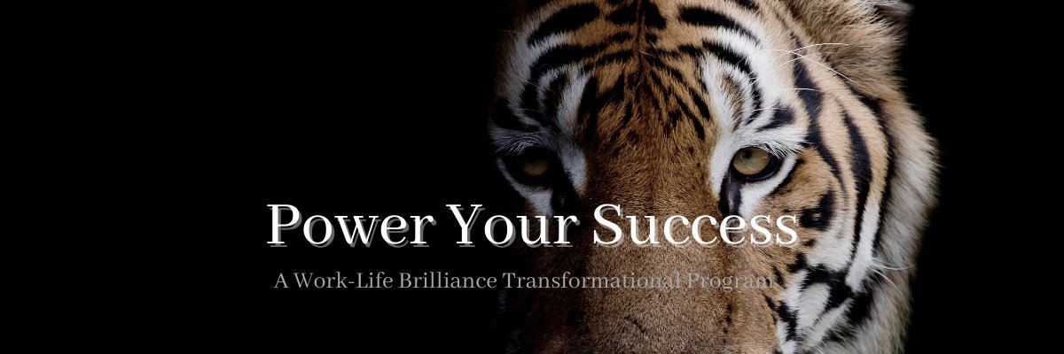 brillianceinc's profile banner image
