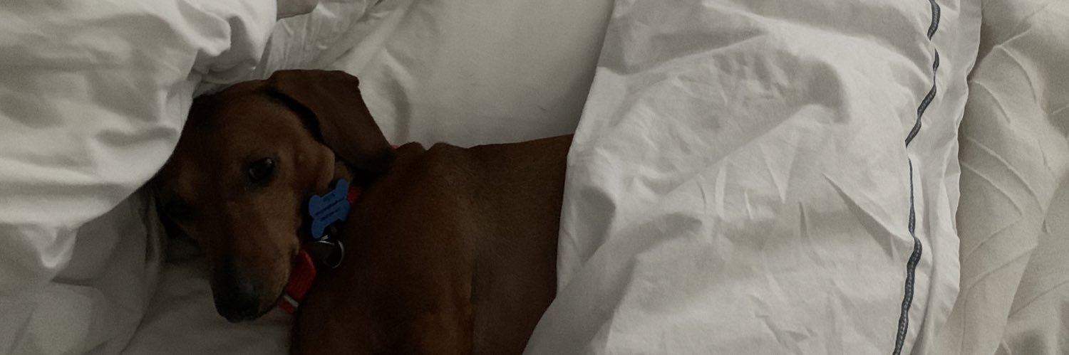jon_falcon's profile banner image