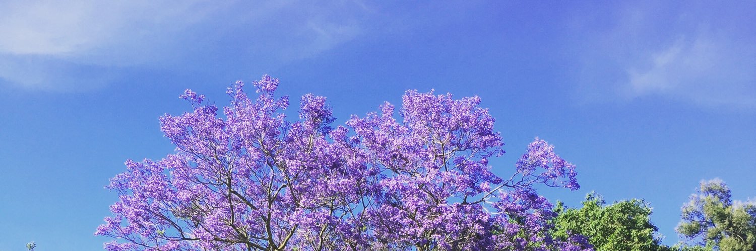 Zwawax's profile banner image