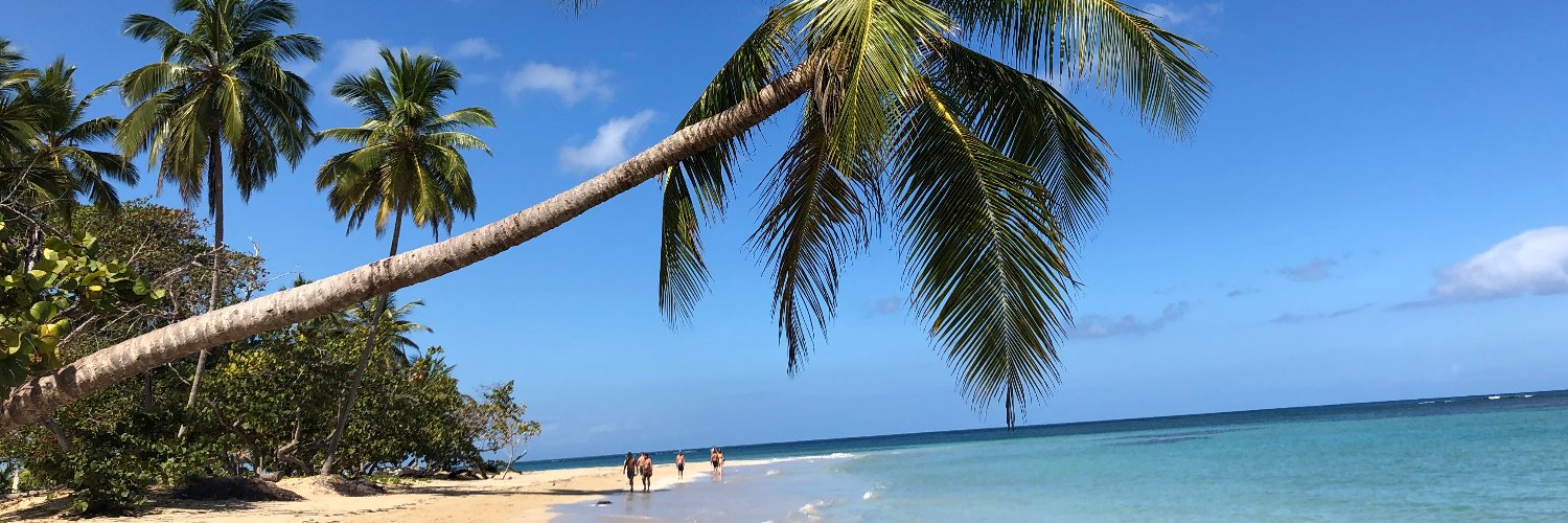 Dennis Van Meer banner