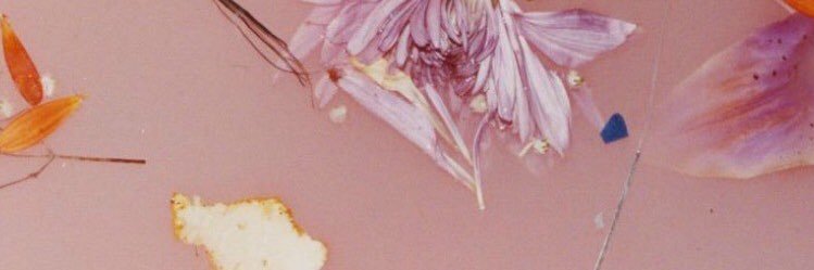 Harry banner
