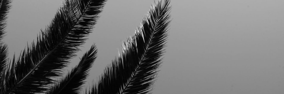 Dominique Besanson banner