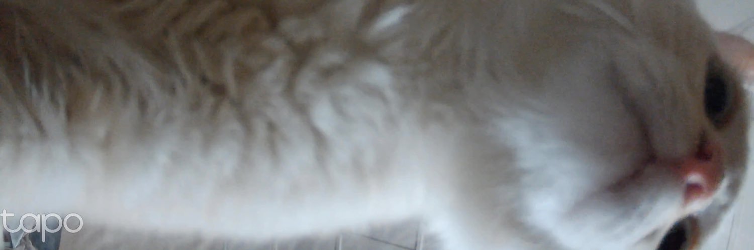 aimiKxx's profile banner image