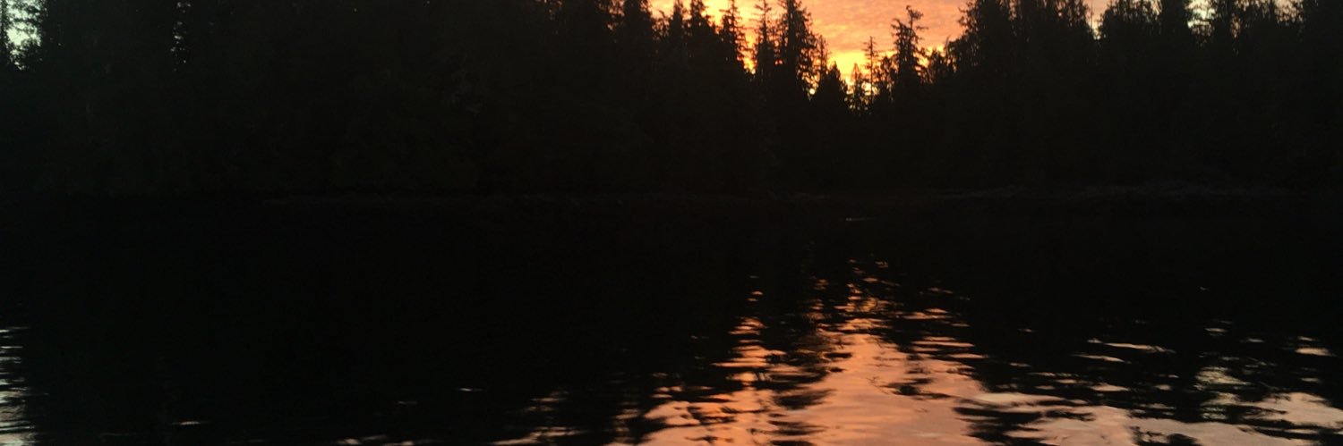 jen__m_'s profile banner image