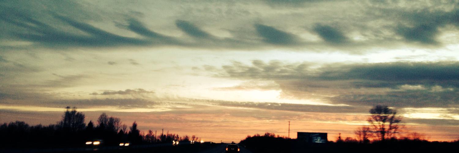 Lisa Weinstein banner