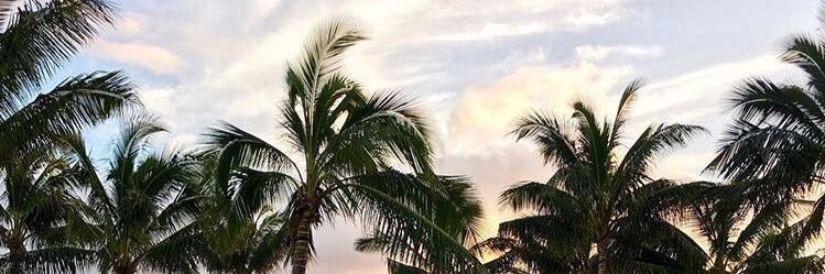alwaysdawsey's profile banner image