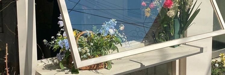 dianadelaraa's profile banner image