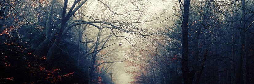 Robert Satterwhite banner