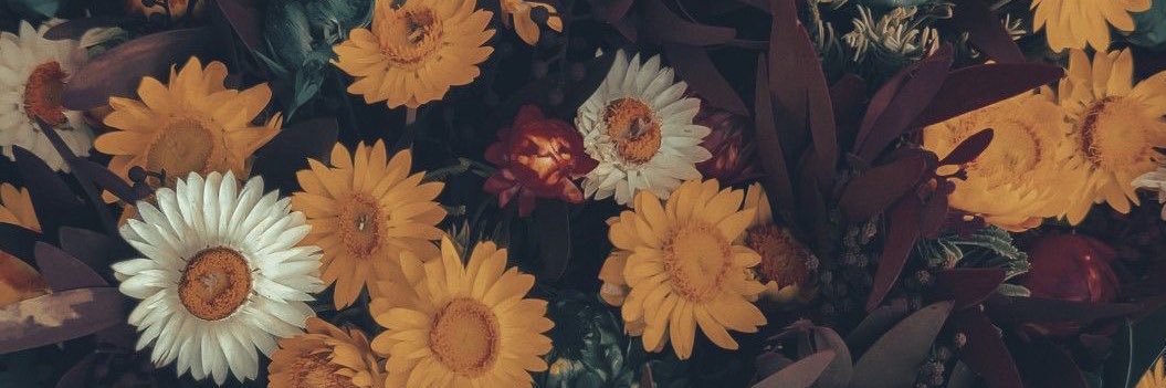 mariegoldlen's profile banner image