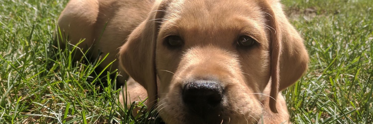 WTaylorF27's profile banner image