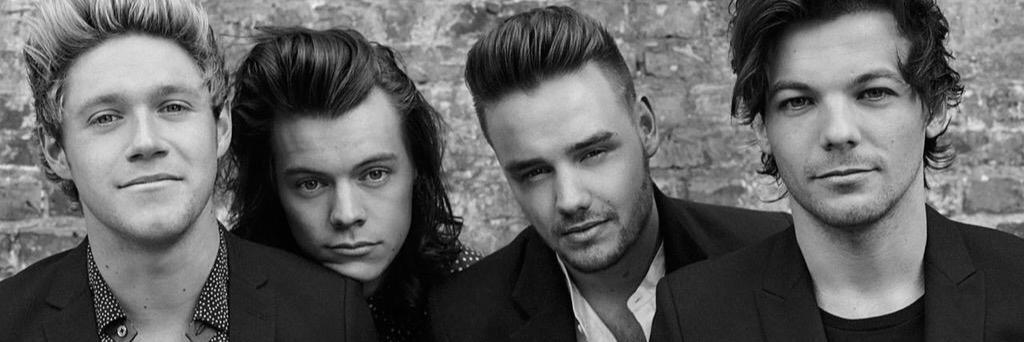 One Direction Brasil banner