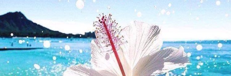 claucamifer's profile banner image