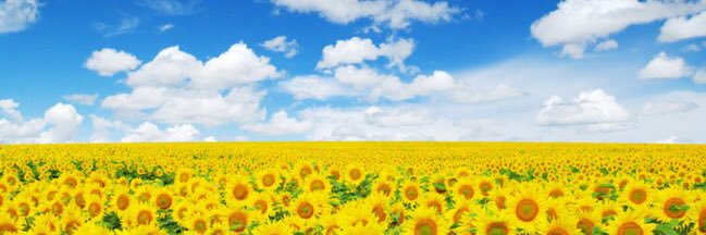 2kidsInApod banner
