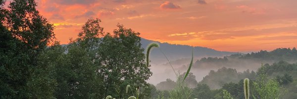 _BurtWhite Profile Banner