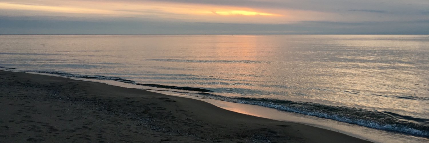 MaraThompsonTV's profile banner image