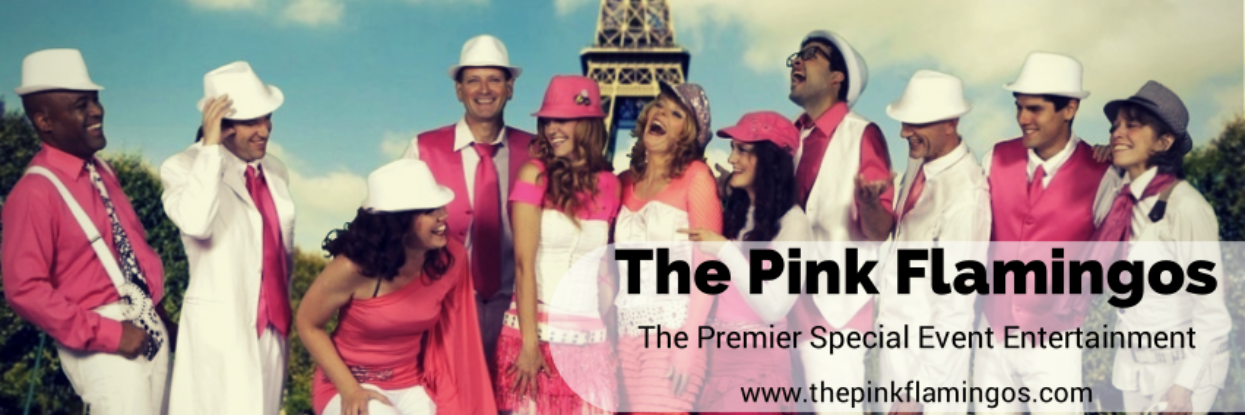 ThePinksBand's profile banner image