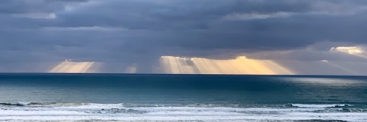 Dania Ramirez banner