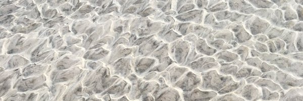 brl11 Profile Banner