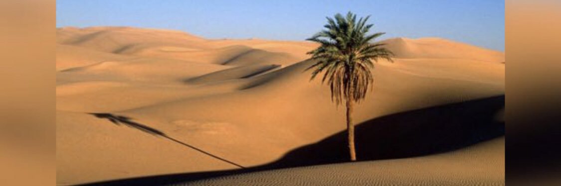 HamoudBrahim's profile banner image