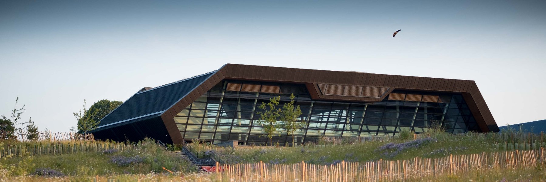 The Environmental Futures & Big Data Impact Lab banner