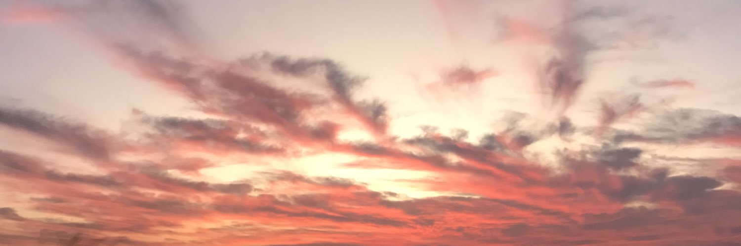 anafarias241's profile banner image