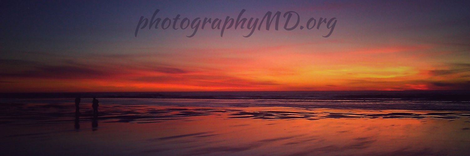 MattDillonPhoto's profile banner image