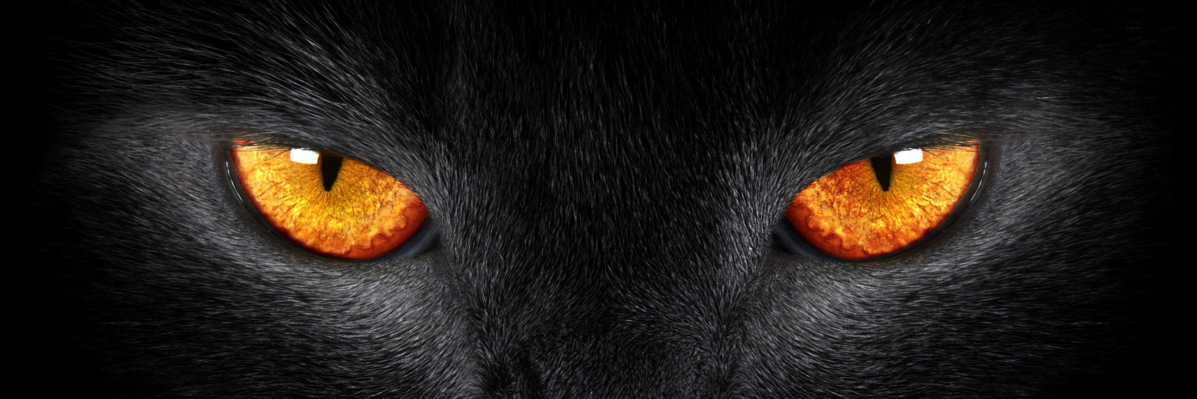 Fernando Lliguin banner