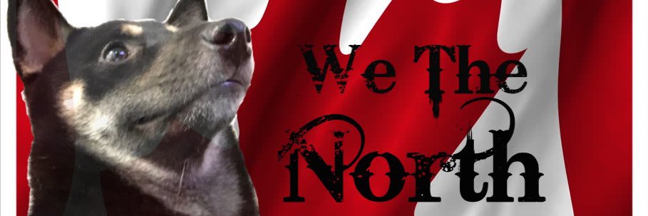 TheMasterSyko's profile banner image