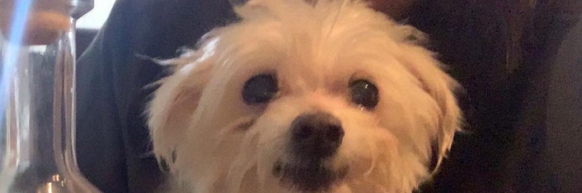 Leslieee98's profile banner image