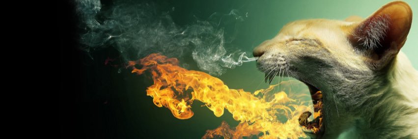 KalliK705's profile banner image