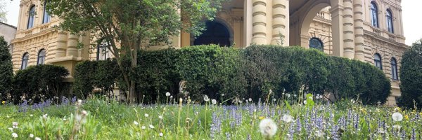 wegenercenter Profile Banner