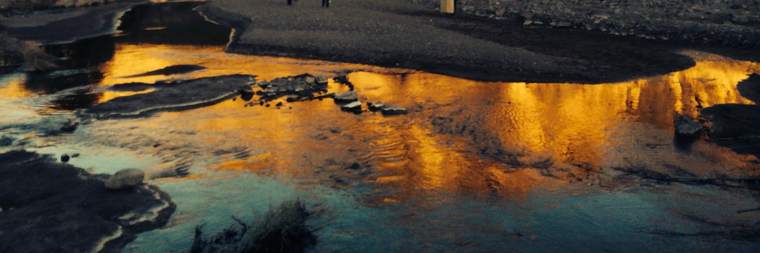 Paul Wilmshurst banner