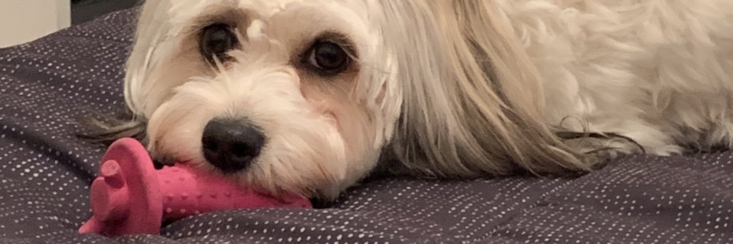 Jessicavaldebe1's profile banner image