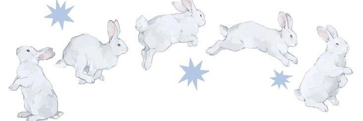 vividaoi's profile banner image